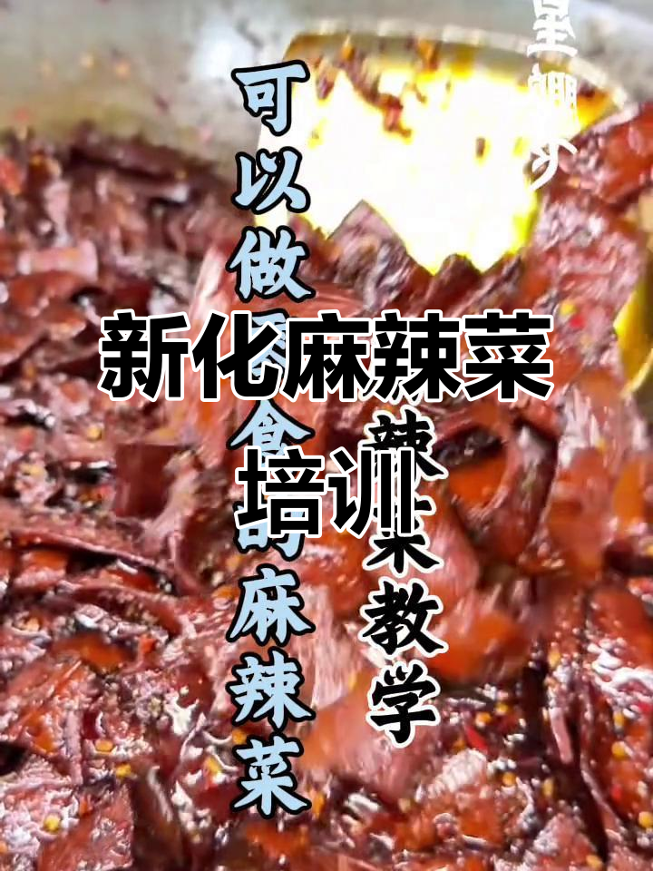 长沙麻辣菜技术培训,新化风味全掌握
