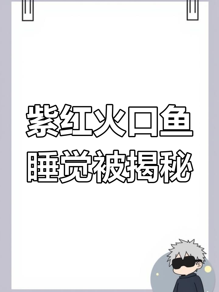 紫红火口鱼“偷懒”被发现,景区警示已成常态