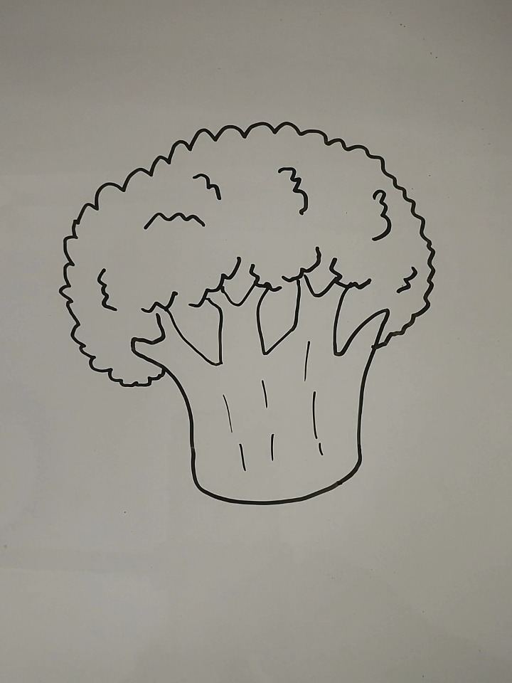 教你来画简笔画——西兰花