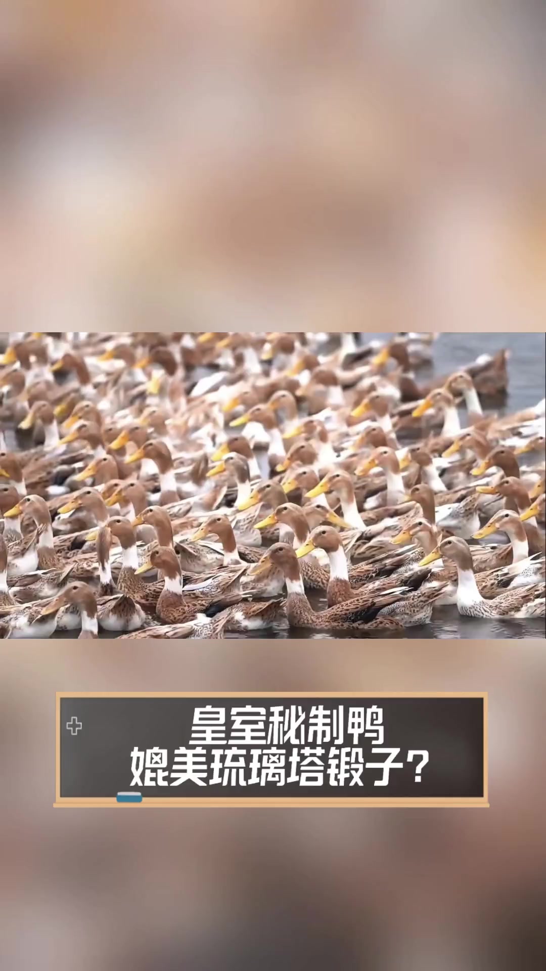 皇室秘制鸭,媲美琉璃塔锻子?