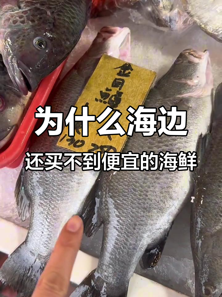 海边住却吃不起海鲜?海鱼价格暴涨让人惊讶