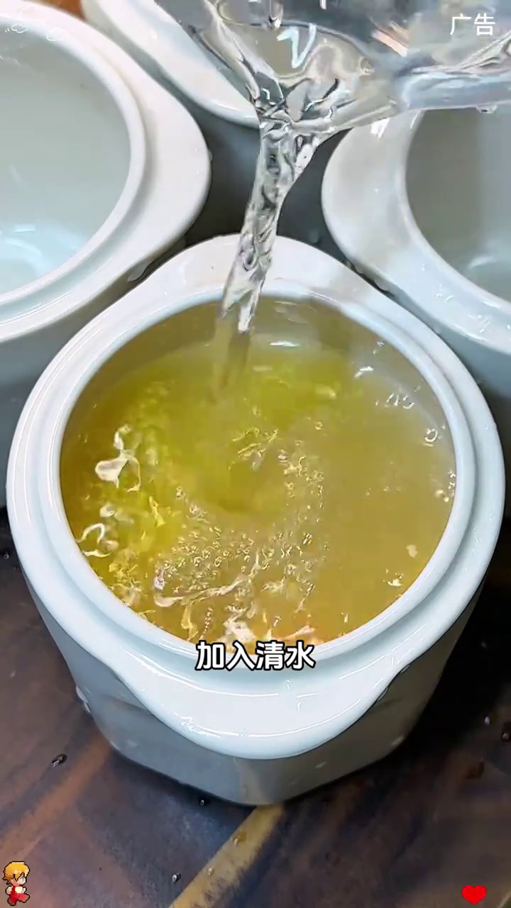 TLOTOR徕多大白电炖锅一锅五胆隔水电炖盅家用煮粥营养辅食煲汤锅 隔水炖电炖锅 炖盅隔水