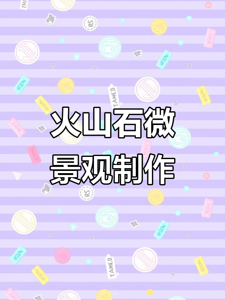 用火山石打造微景观,吸水透气让植物更健康