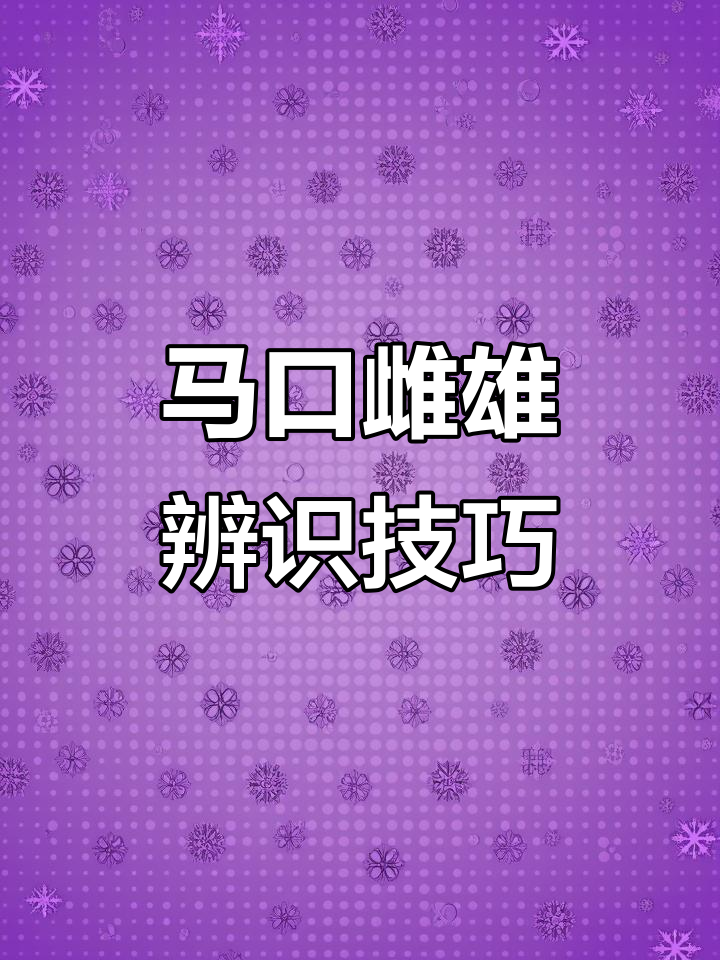 如何分辨马口雌雄?掌握这些关键特征轻松辨别