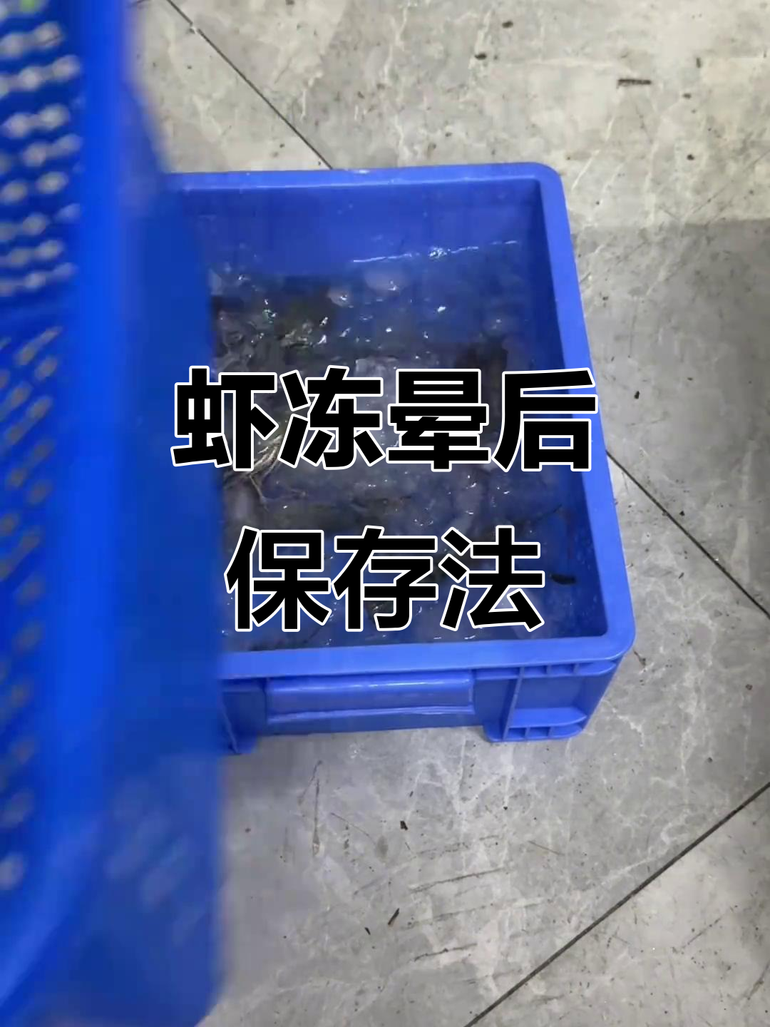 活虾冷冻技巧:别直接放冰箱,试试这个方法保鲜更美味