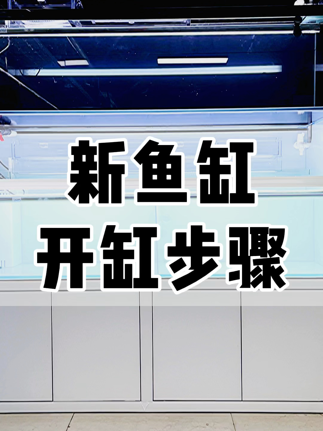 新鱼缸开缸养水详细教程