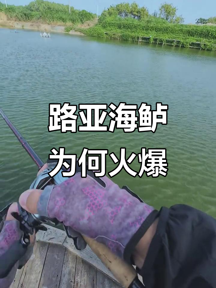 为什么这个BGM能让路亚视频爆火?原来钓鱼才是抖音新运动风潮