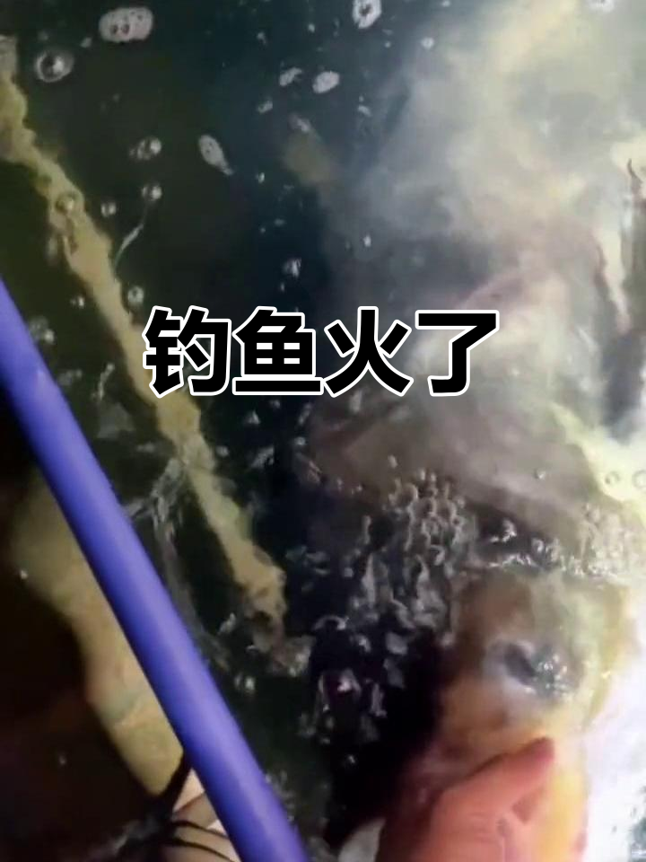 钓鱼才是抖音最火运动,真实感满满!