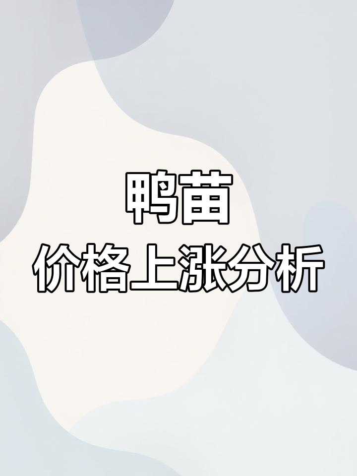 4月16日鸭苗行情大涨,北方南方价格差异解析