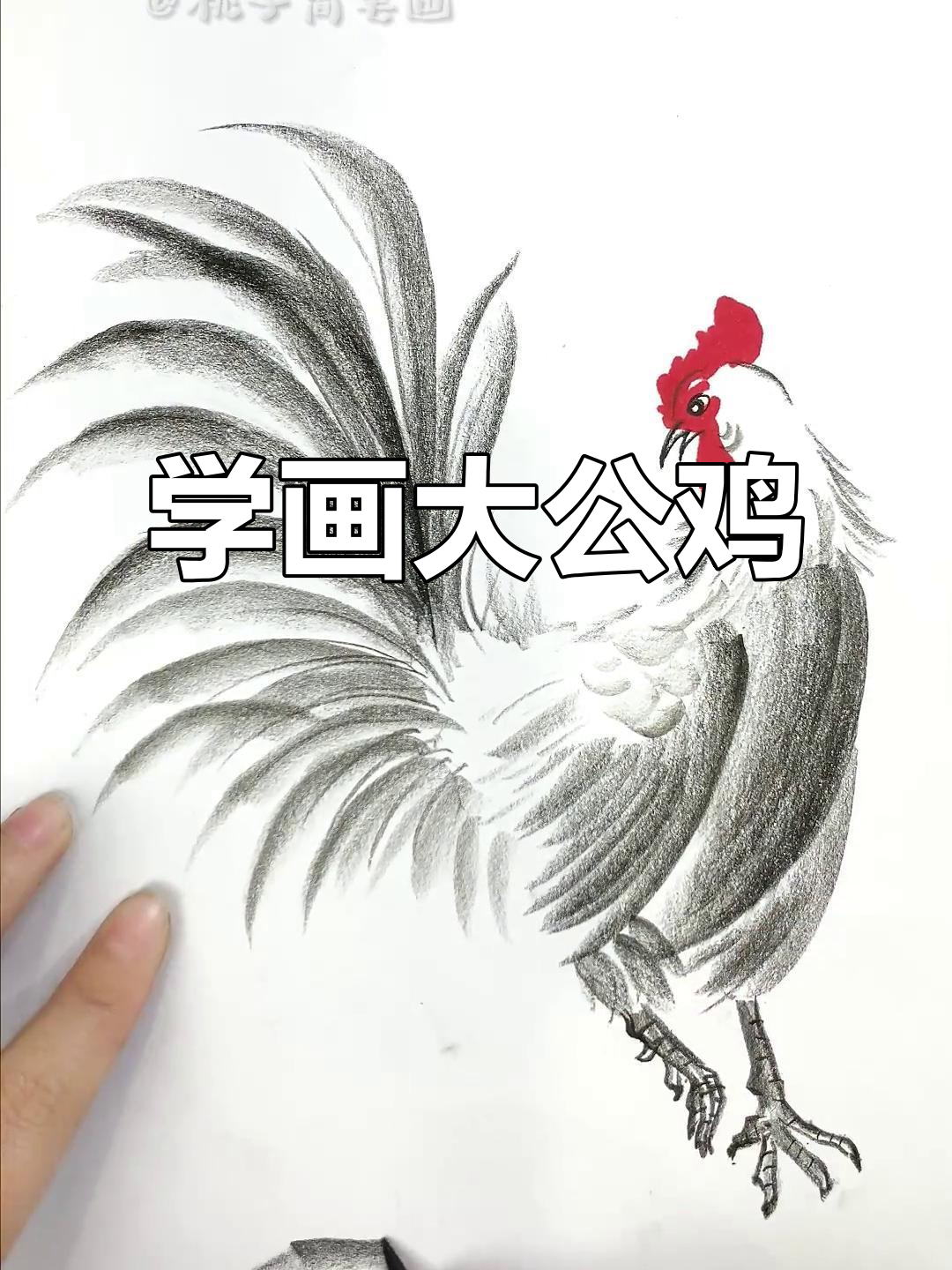 轻松几笔画出可爱大公鸡,零基础也能学会!