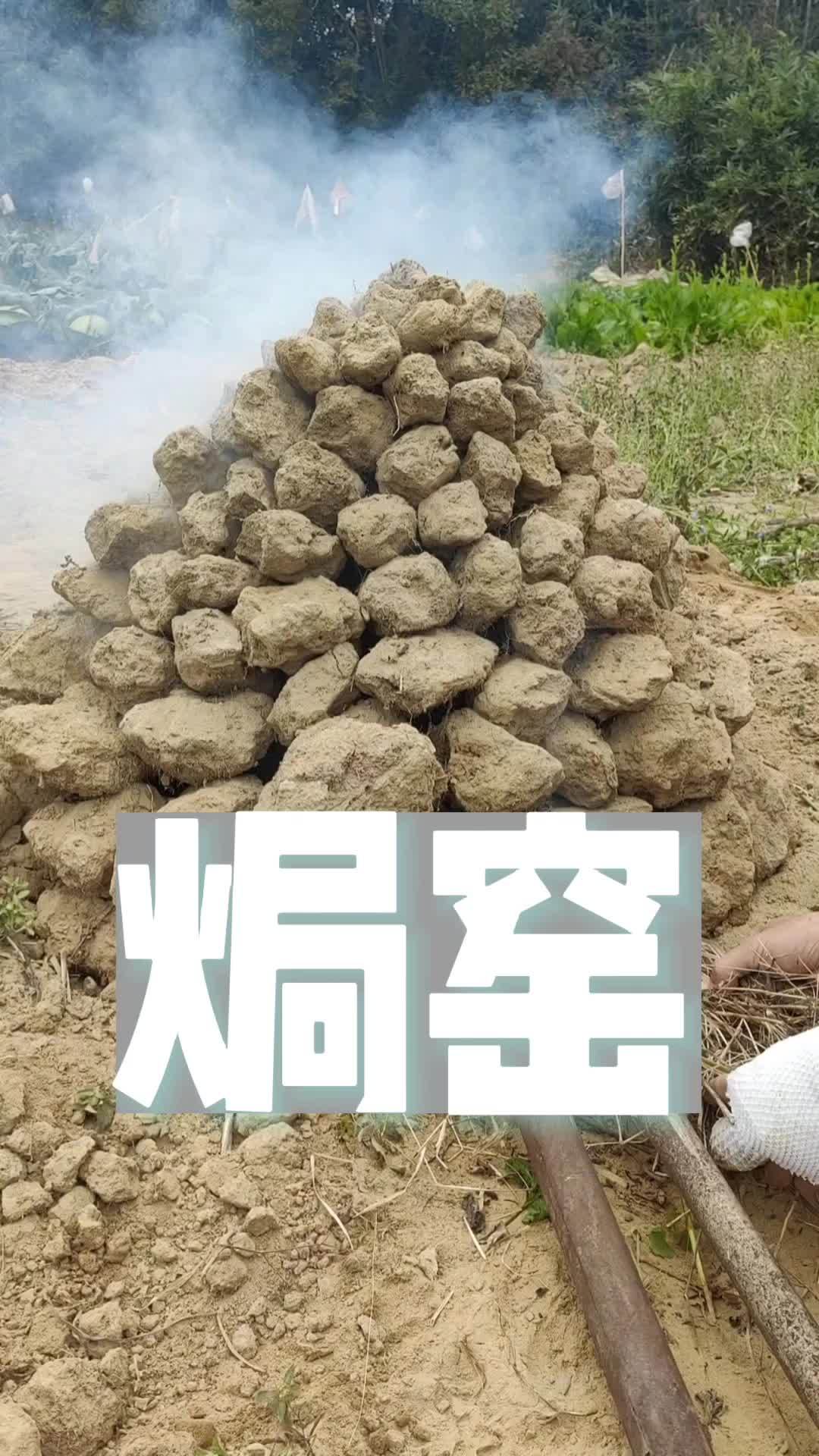 新年窖鸡 窖鸡 焗窑