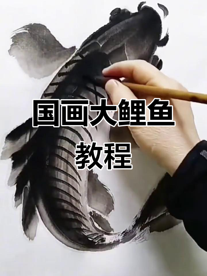 轻松学会国画大鲤鱼,掌握写意技巧