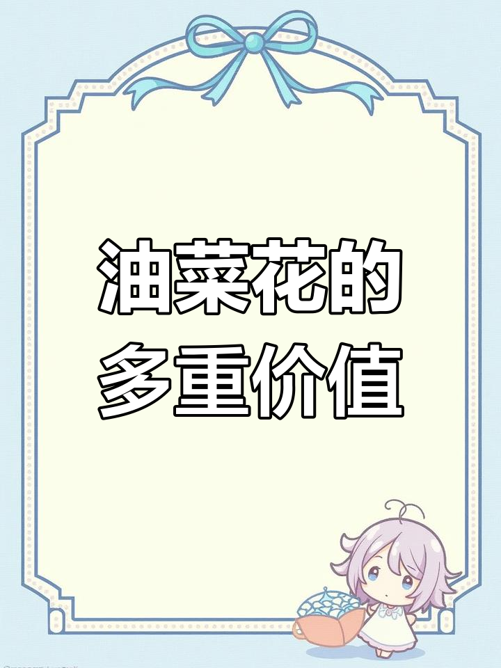 油菜花的多种用途与功效