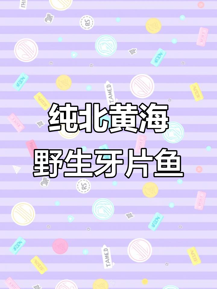 北黄海野生鸦片鱼,背部浅咖色惊艳登场