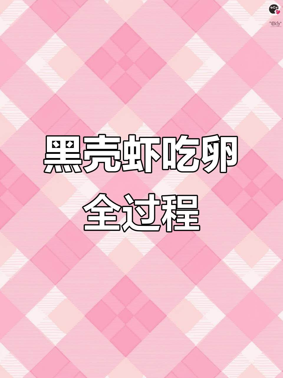 黑壳虾卵被乌龟惊吓,吃掉过程揭秘