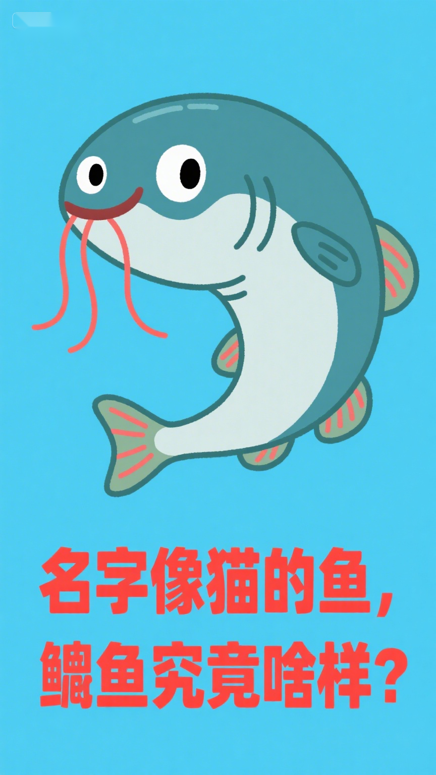 名字像猫的鱼,鲶鱼究竟啥样?