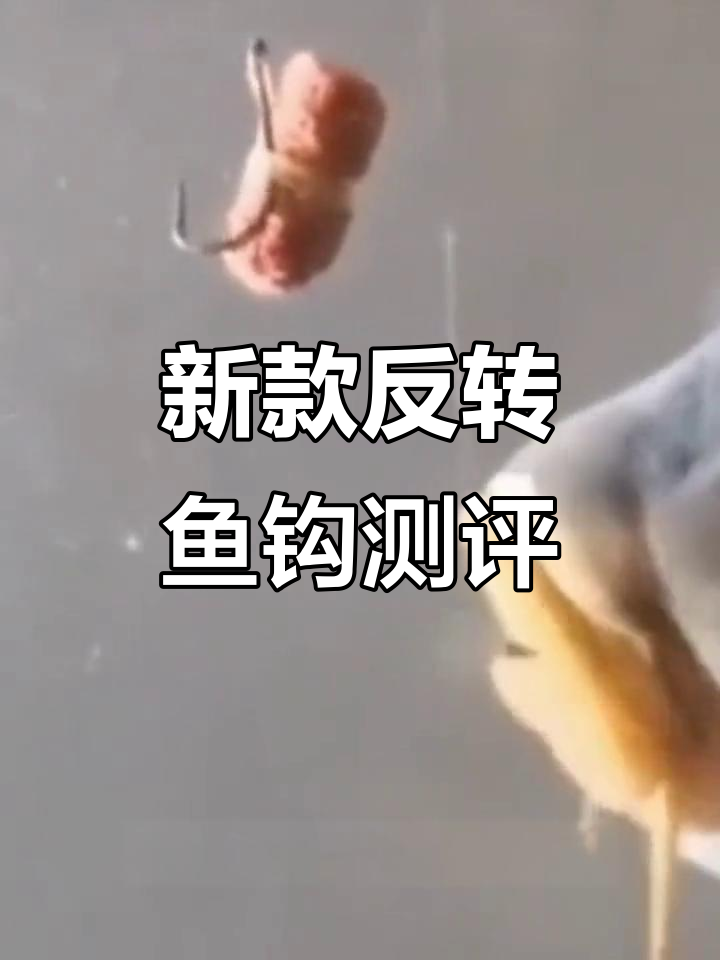 反转鱼钩如何让钓鱼更轻松？传统与新型对比揭秘