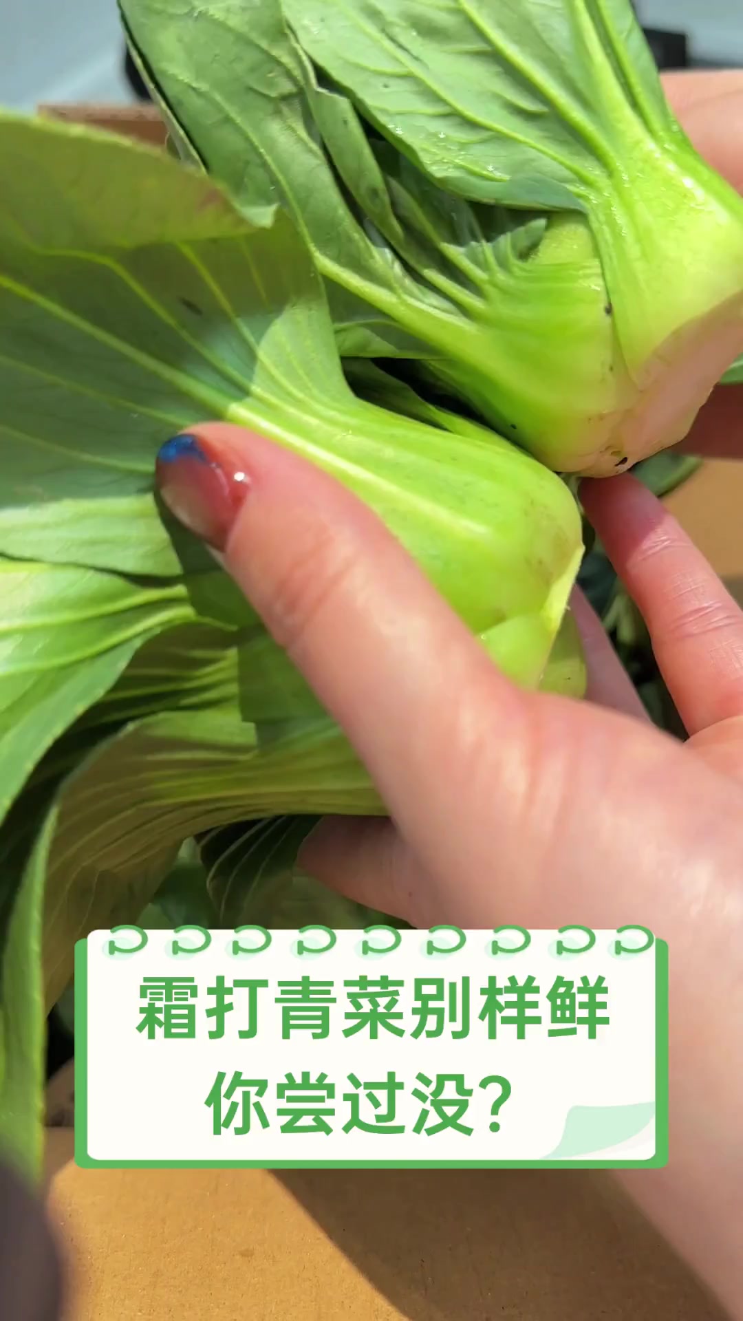 霜打青菜别样鲜,你尝过没?