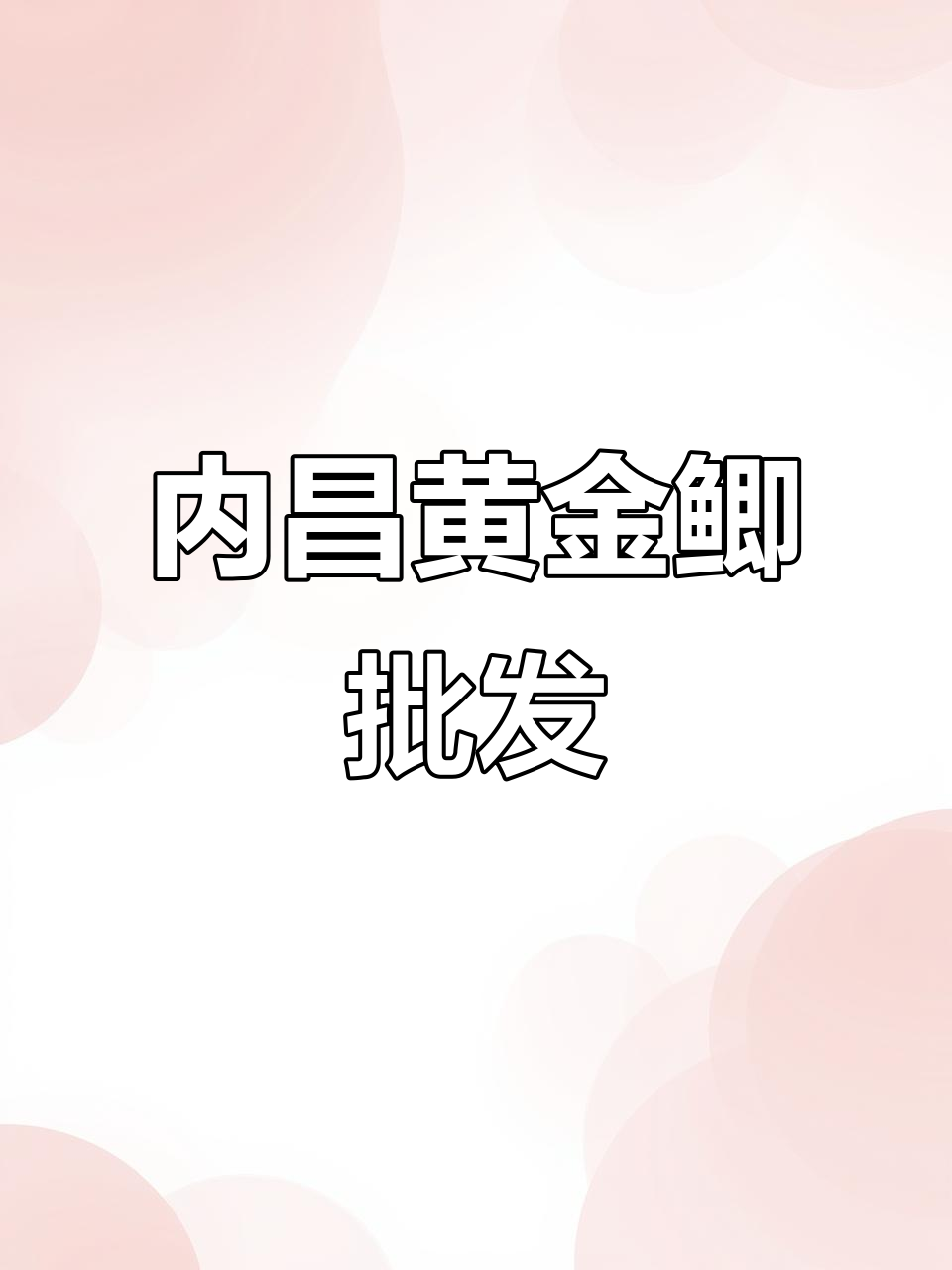 九江黄金鲫鱼苗批发，内昌下塘钓场配送