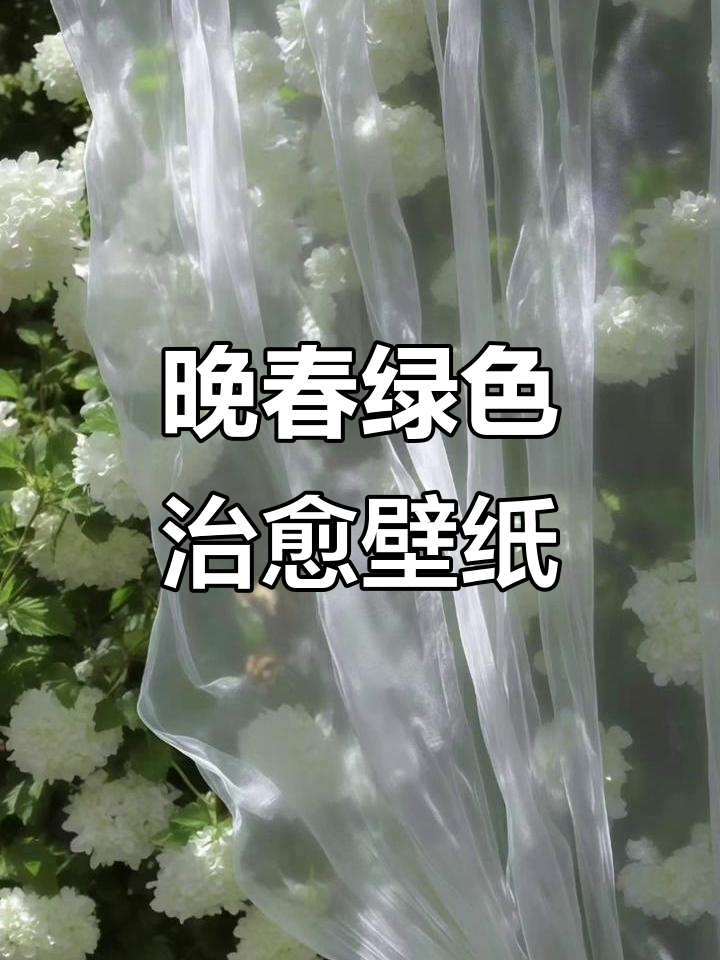 晚春绿意盎然,治愈系风景壁纸带给你清新感受