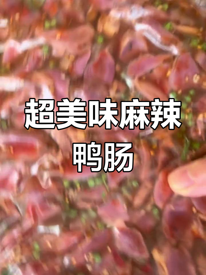 麻辣鸭肠与鸭胗片,开袋即食,鲜香四溢