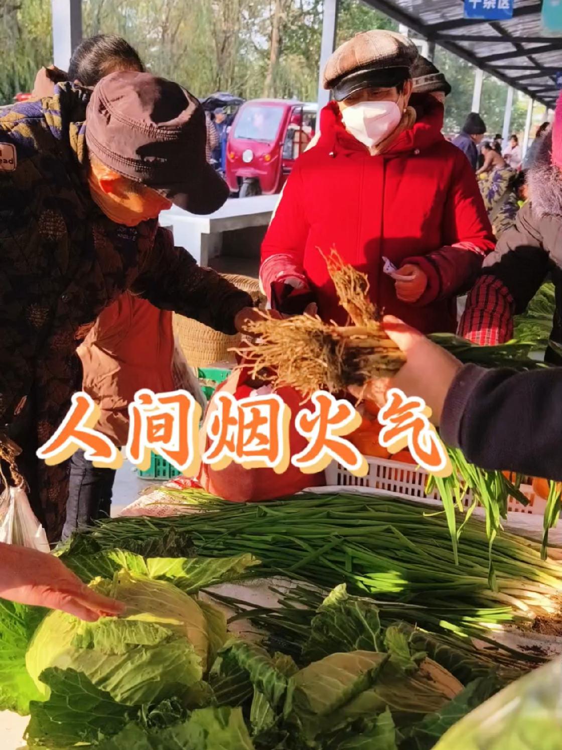 菜市场 摊位 买菜 人间烟火 周末时光百姓生活是朴实而真实的