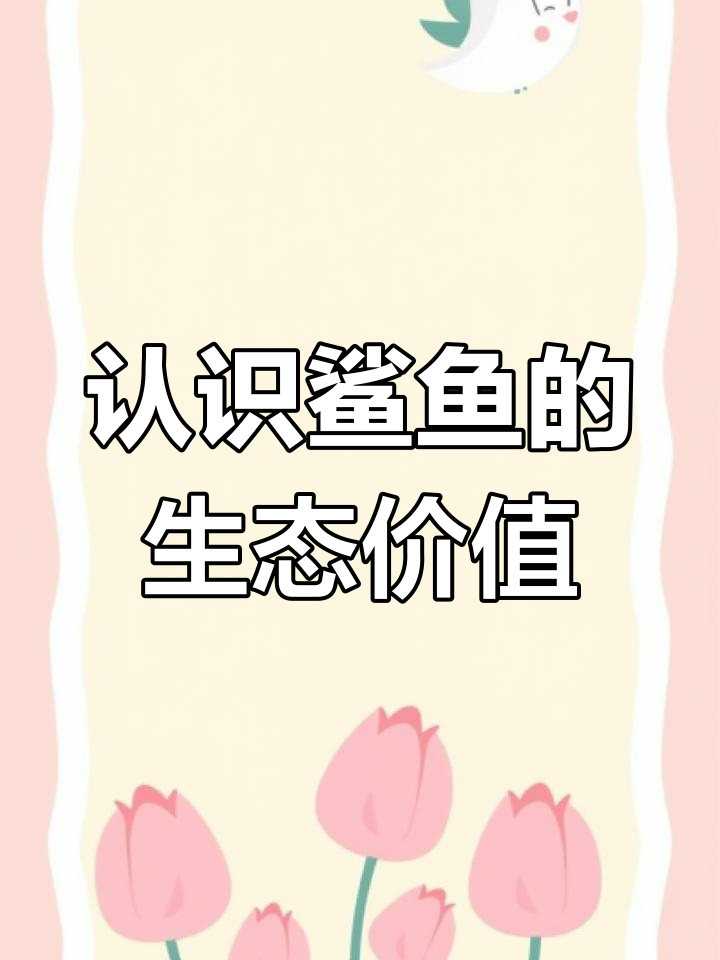 鲨鱼保护日:了解海洋生态的重要性