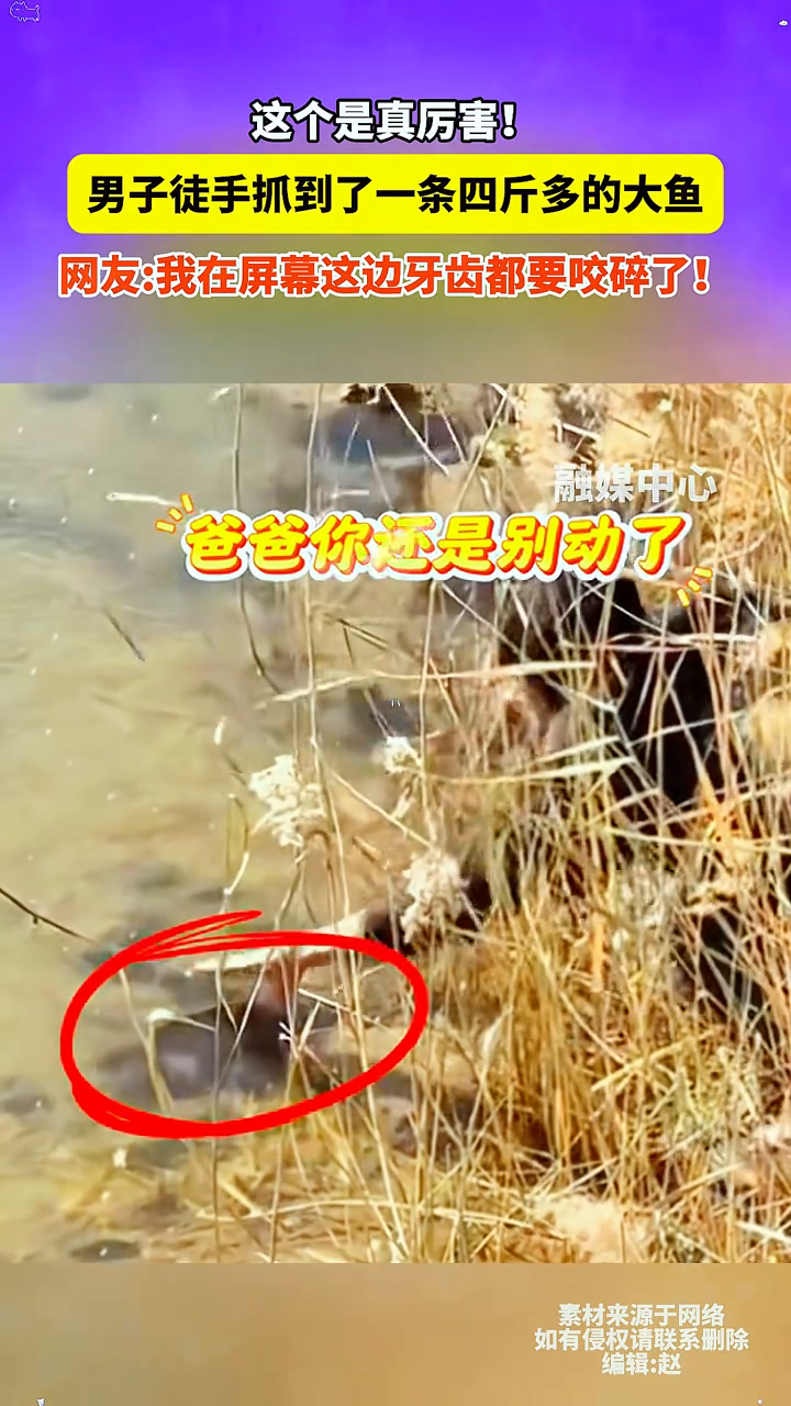 男子徒手抓到了一条四斤多的大鱼