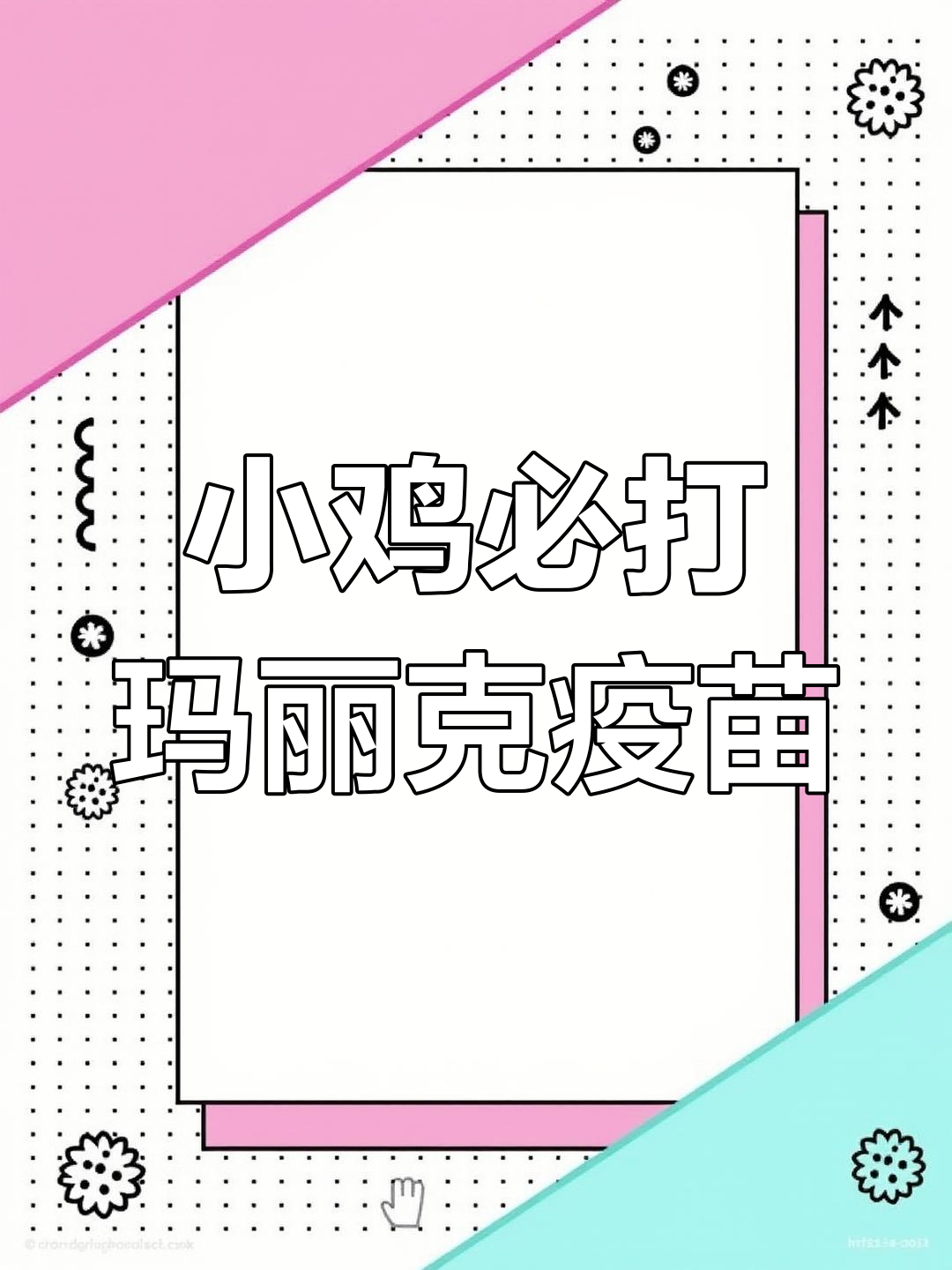 小鸡出壳后必须打的疫苗,避免致命疾病