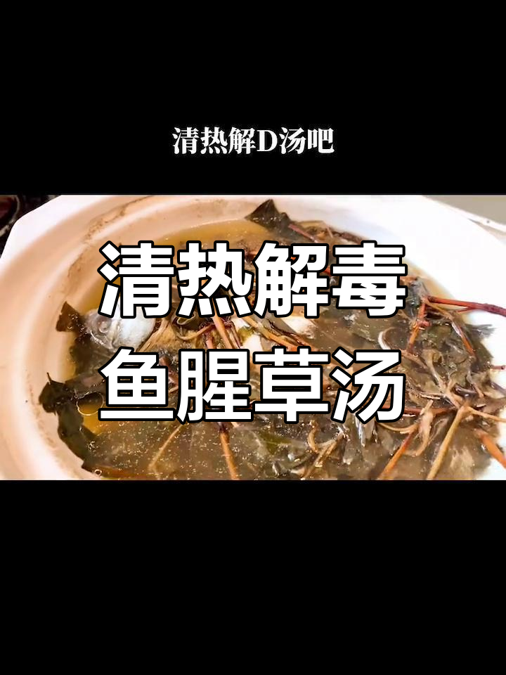 夏日必备清热解毒汤,鱼腥草鲫鱼一起炖