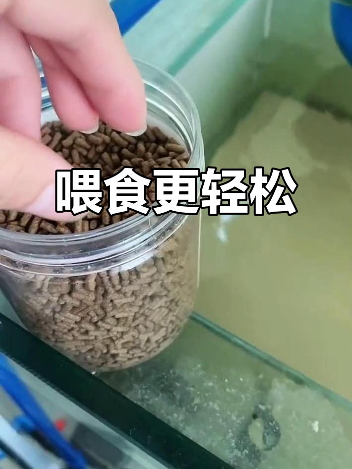 虎鱼吃饲料,省时又方便!这种龙鱼颗粒饲料营养丰富