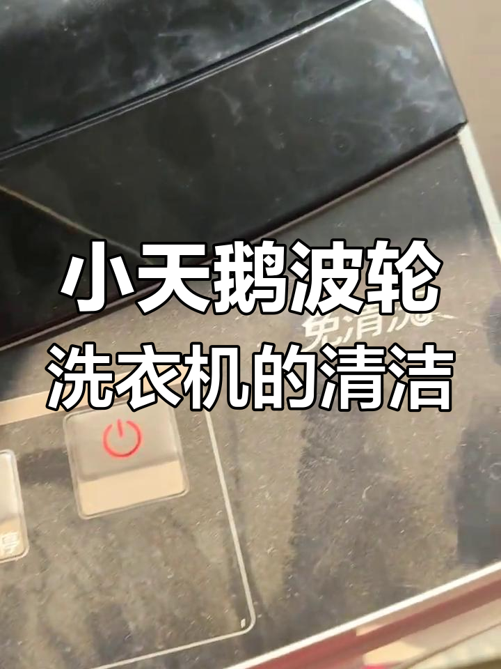清洗小天鹅免洗波轮洗衣机,拆开看看内部脏不脏