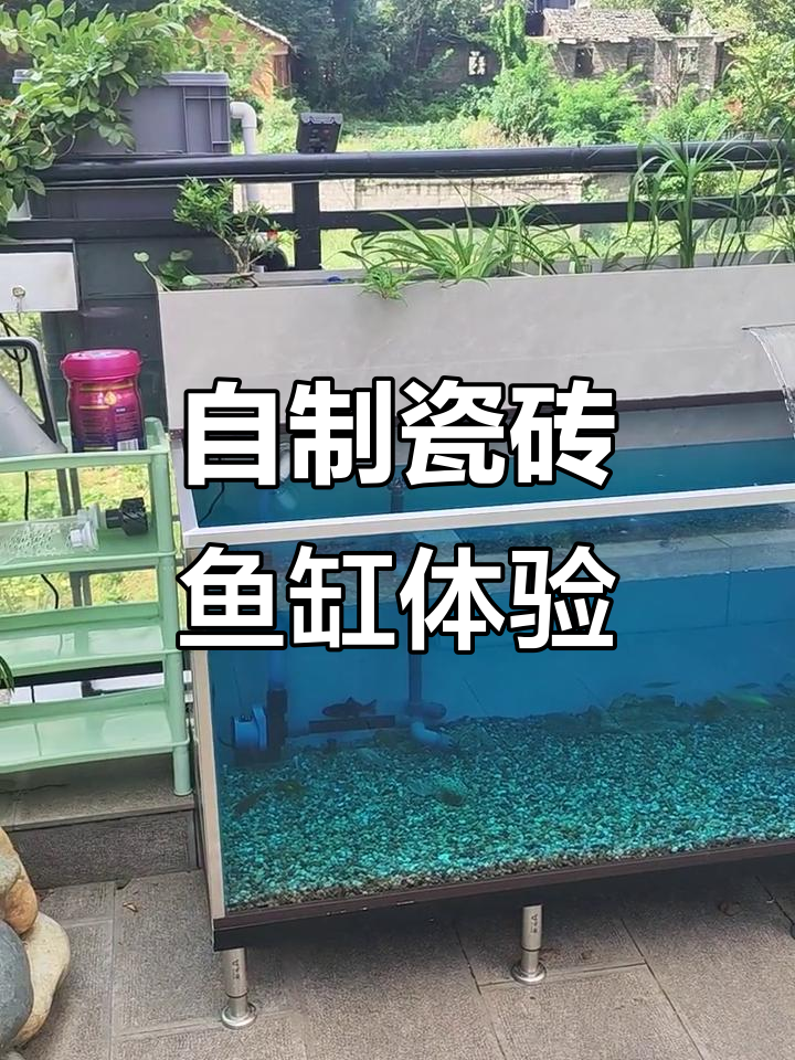 第一次做瓷砖鱼缸,效果超乎想象!