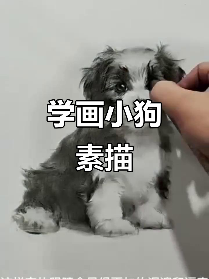 素描小狗狗,轻松学会画可爱表情