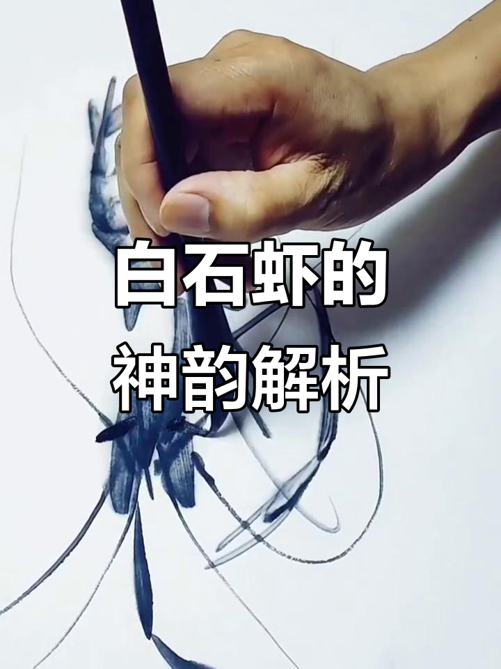 齐白石画虾的精髓与神韵,如何捕捉水墨画的灵魂