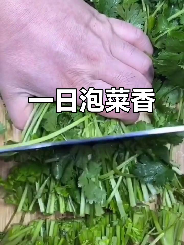 快速腌香菜,简单又美味!