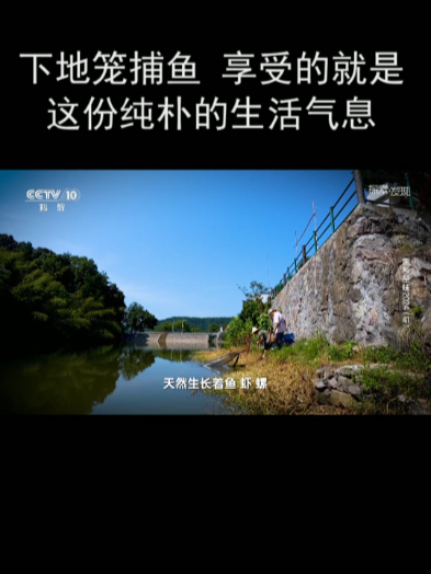 下地笼捕鱼 享受的就是这份纯朴的生活气息