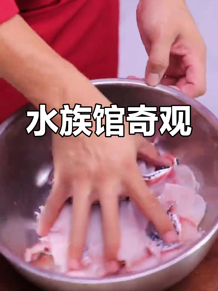 探索水族馆,感受海洋生物的奇妙世界