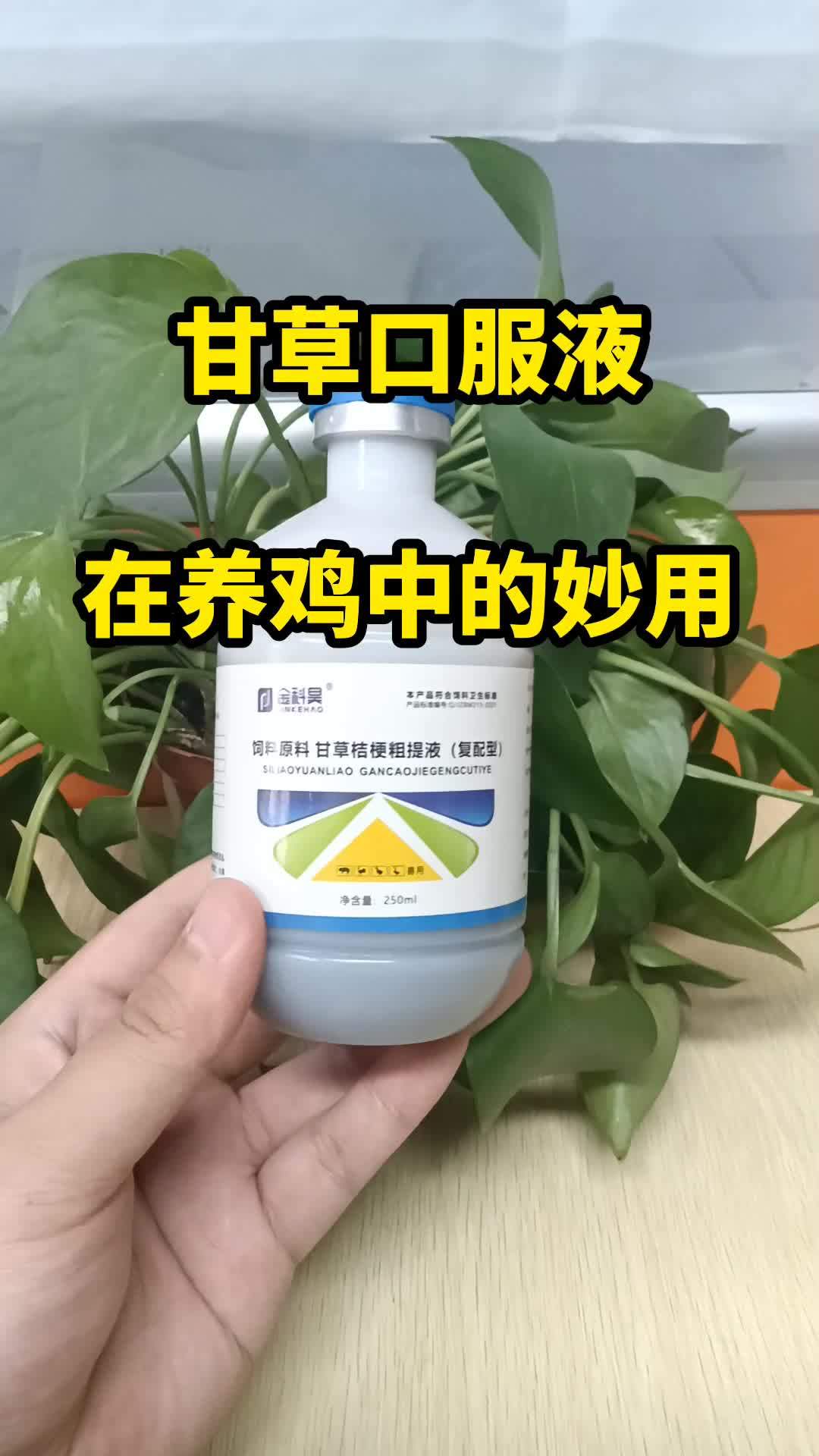 农村散养土鸡 生态散养土鸡 蛋鸡 蛋鸡养殖 散养土鸡