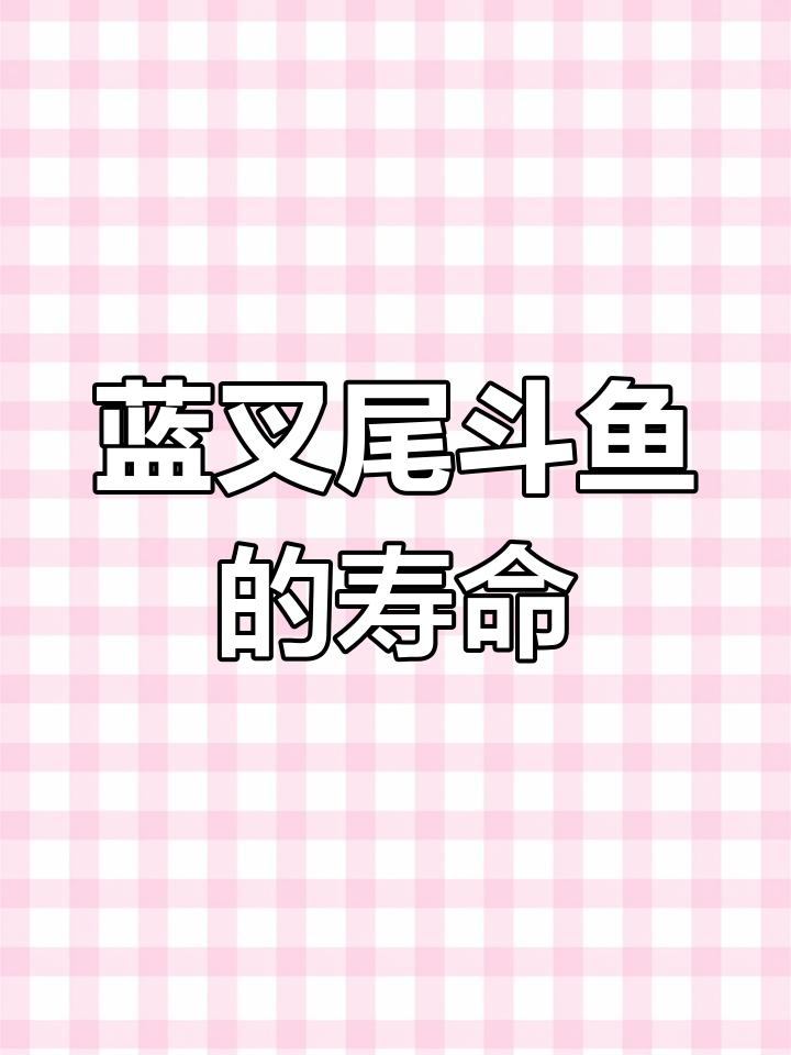 国斗鱼寿命揭秘:影响因素与个体差异