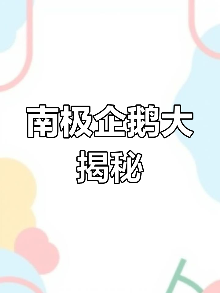 探秘南极企鹅:8种独特品种的趣味特征与习性