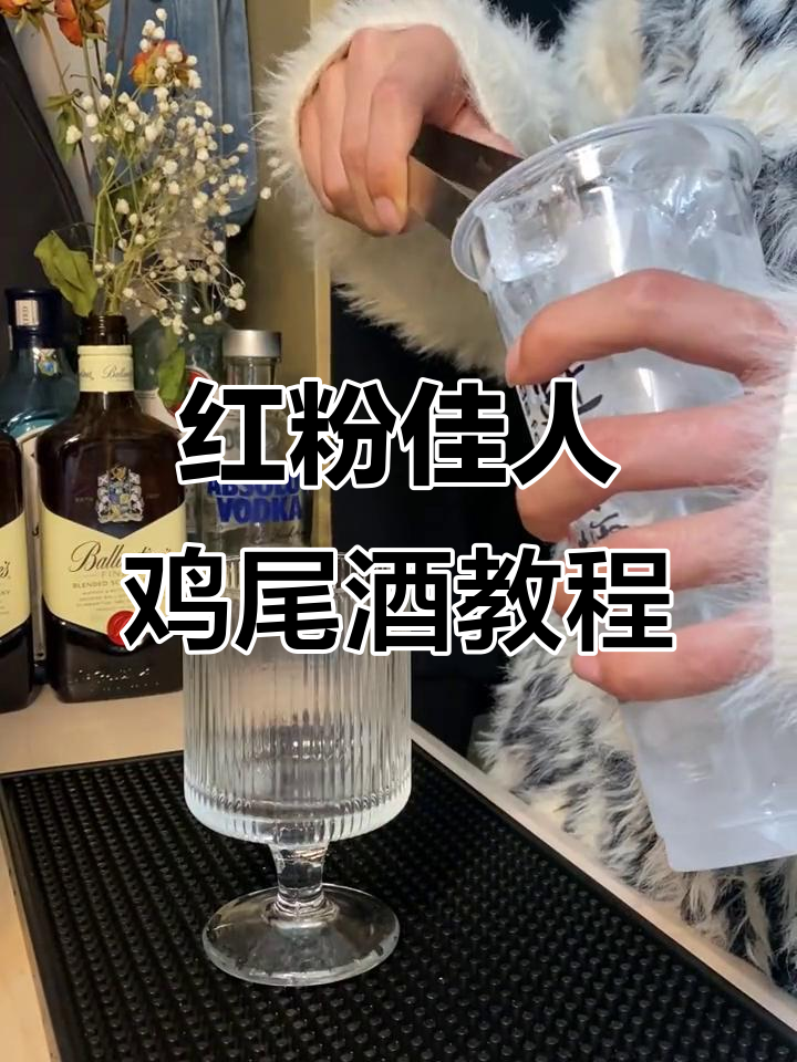 红粉佳人调酒教学，风流浪子莫教贫