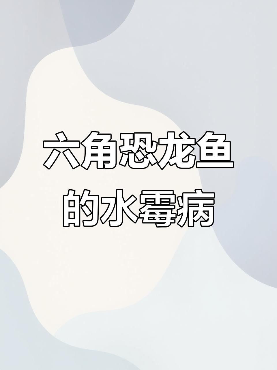 六角恐龙鱼水霉病:守护精灵的专用药与护理技巧