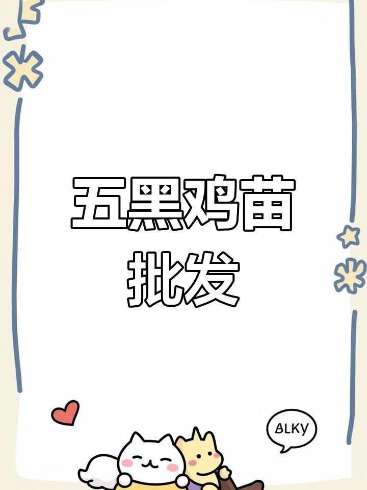 广州五黑鸡苗批发,优质绿壳蛋鸡一手货源