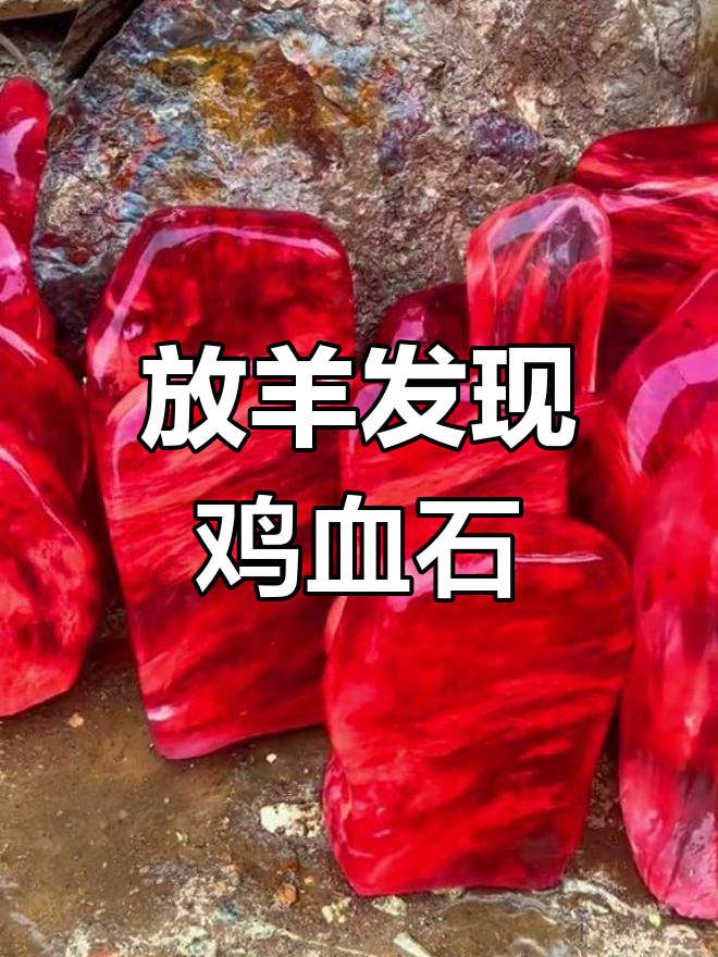 放羊捡到鸡血石,原石效果惊艳!