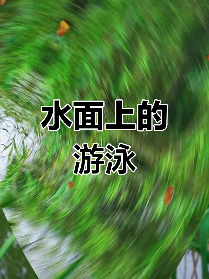 凫水与野鸭的由来