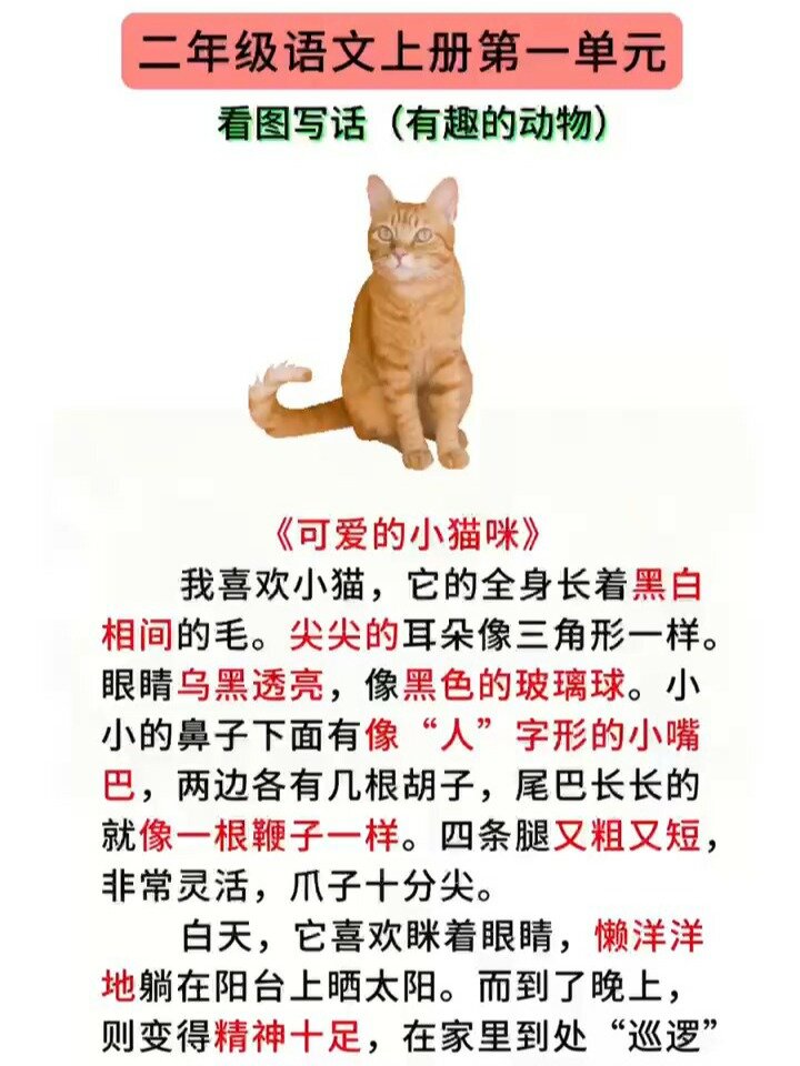 二年级语文上册有趣的动物看图写话范文