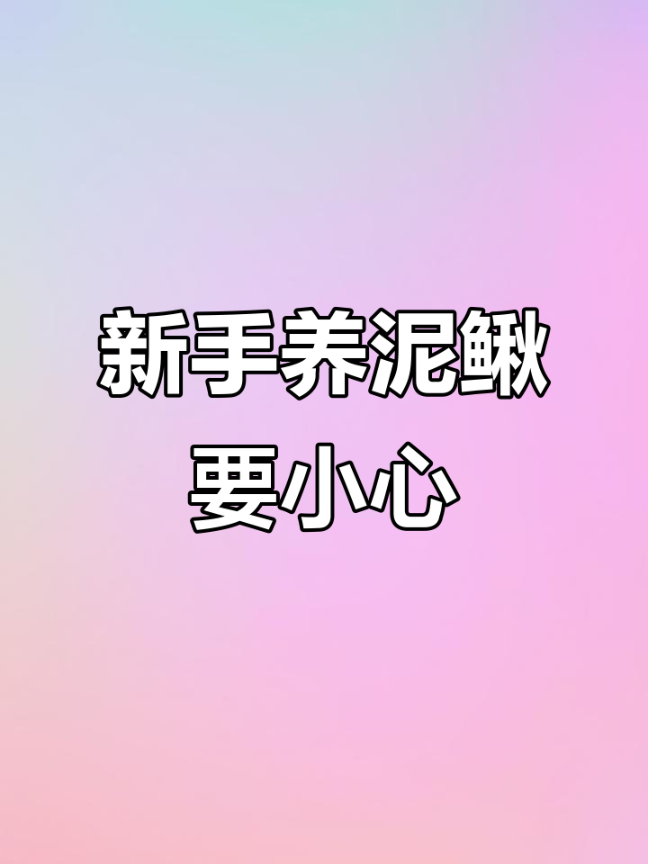 帆布池养殖泥鳅黄骨鱼,新手投资需谨慎