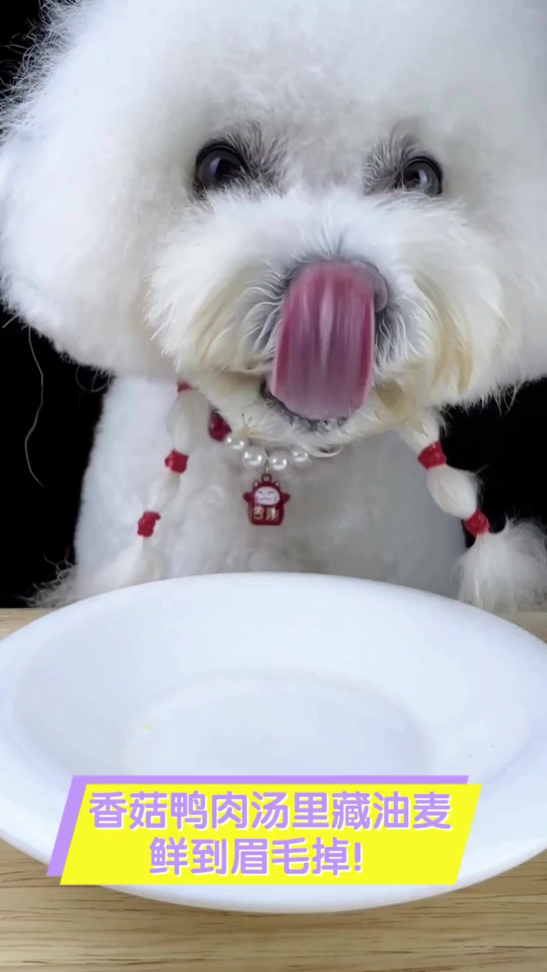 香菇鸭肉汤里藏油麦,鲜到眉毛掉!