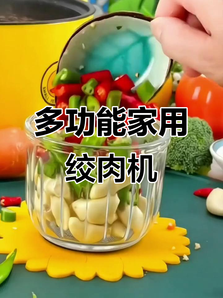 家用小型电动绞肉机,多功能打馅捣蒜轻松搞定